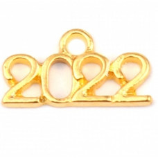 13.5mm gold colour 2022  charm